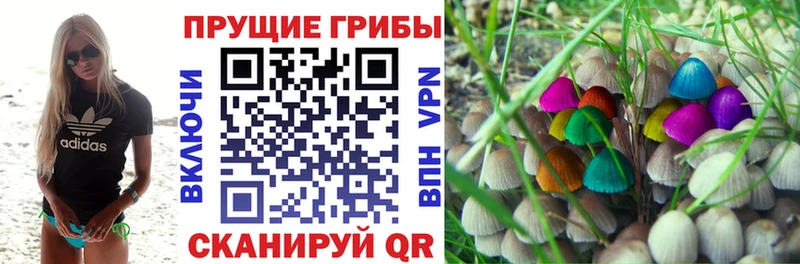 магазин    Михайловка  Галлюциногенные грибы мицелий 